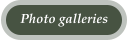 Photo galleries