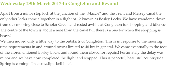 Wednesday 29th March 2017-to Congleton and Beyond Apart from a minor stop lock at the junction of the “Maccie” and the Trent and Mersey canal the only other locks come altogether in a flight of 12 known as Bosley Locks. We have wandered down from our mooring close to Scholar Green and rested awhile at Congleton for shopping and idleness. The centre of the town is about a mile from the canal but there is a bus for when the shopping is heavy!  We then moved only a little way to the outskirts of Congleton. This is in response to the mooring time requirements in and around towns limited to 48 hrs in general. We came eventually to the foot of the aforementioned Bosley Locks and found them closed for repairs! Fortunately the delay was minor and we have now completed the flight and stopped. This is peaceful, beautiful countryside. Spring is coming, “In a cowslip’s bell I lie”.