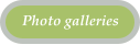 Photo galleries